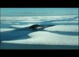 بازتابهای جنوبگان- ونجلیس