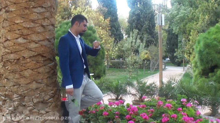 موزیک ویدیو کجا میری با صدای محمد علیزاده