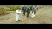 آزادی سه قلاده شغال توسط یگان حفاظت محیط زیست شهرستان دماوند
