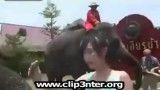 خوردن گوشی دختر خانوم توسط فیل!!
