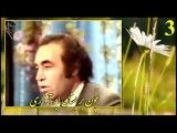 استاد ایرج-جلیل شهناز-امیر ناصر افتتاح(3)
