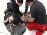 نجات سگ از رودخانه یخ زده