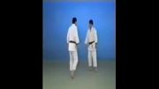 Morote Gari - 65 Throws of Kodokan Judo