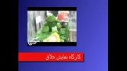 نماهنگ اردوهای خلاقیت ( مدرسه فردا ) - موسسه فرهنگی و آموزشی مفتاح قائم ( عج )