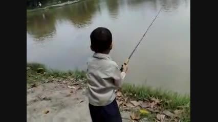 ماهی