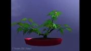 Go Bonsai - Growing Tree Simulation