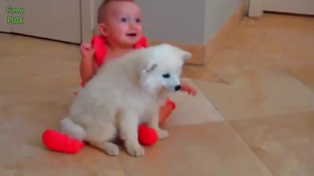 بازی کودک با سگ