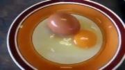 تخم مرغ عجیب ژاپنی