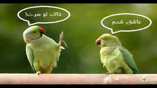 &hearts;&hearts;&hearts; عـــاشــــق شــــــدم.......؟!!!!!!  :)) :))