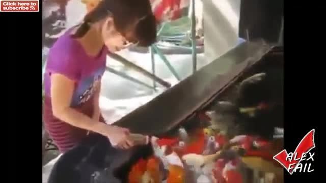 غذا دادن به ماهیان. جالب