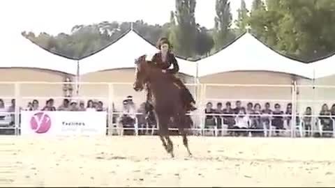رقص اسب  عرب اصیل