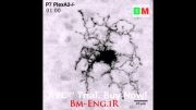 ژن حیاتی در توسعه‌ی شبکیه و شناسایی حرکات-Bm-Eng.iR
