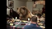 حضور خرس گریزلی در عید شكر گذاری (Thanksgiving)