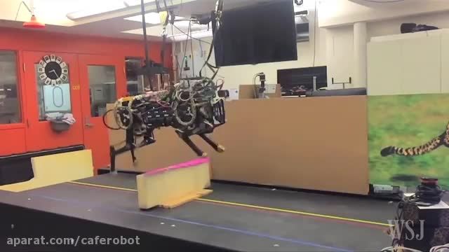 ربات چیتا-کافه ربات