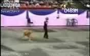 رقص و حرکات موزون بسیار زیبای سگ باهوش!