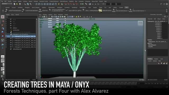 Forest Techniques Part Four with Alex Alvarez
