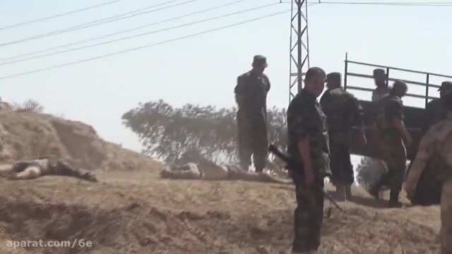 سربازان ارتش سوریه بیرون انداختن اجساد داعش
