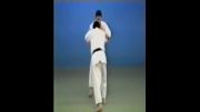 Ushiro Goshi - 65 Throws of Kodokan Judo