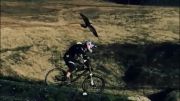نبرد دوچرخه سوار و عقاب