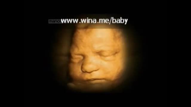 رشد جنین - قسمت 7