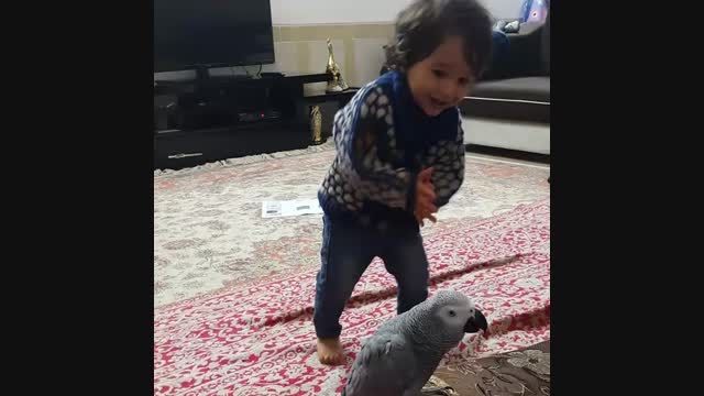 رقص طوطی و کودک (بلال و سورنا)