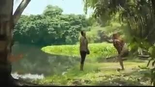 بعلیده شدن دختری توسط تمساح