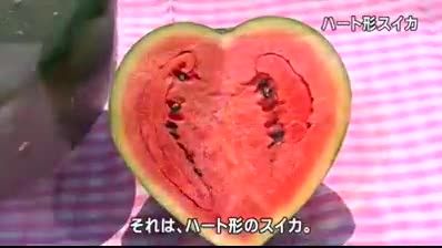 هندوانه جالب  به شکل قلب!!