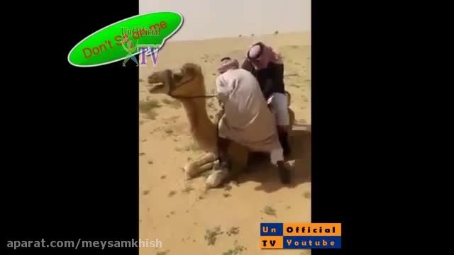عرب و شتر
