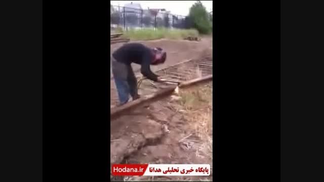 یکی برسرشاخ بن می برید