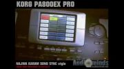 KORG PA800 EX PRO 1