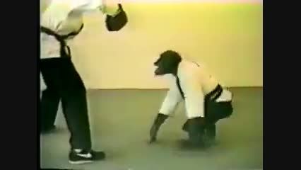 کاراته بازی میمون
