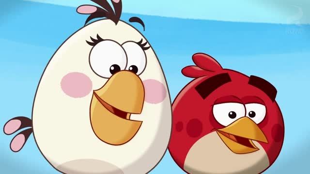 Angry birds toons episode. Angry Birds toons. Angry Birds икота.
