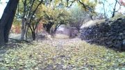 صحنه های زیبا از پاییز روستای ارزنه