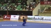 ووشو ، نن گوون ، مسابقات ملی چین 2012 ، لی فو کووی
