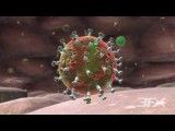 HIV animation