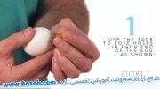 طریق ساخت تخم مرغ تاشو - آزمایش های کودکان
