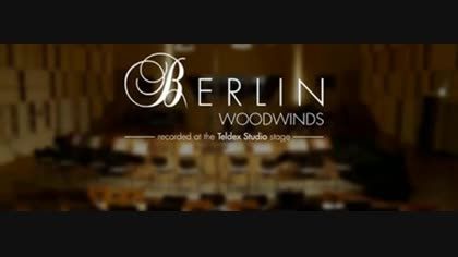 Berlin Woodwinds Vst