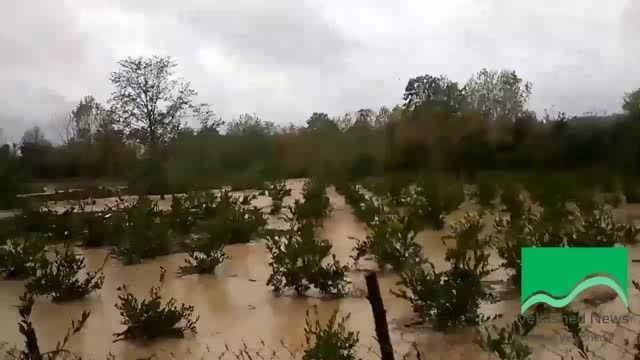سیل و بارش سنگین باران در ولاشد - 23-8-94 - ولاشد نیوز