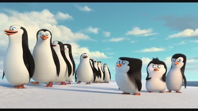 پنگوئن های ماداگاسکار (پارت1)