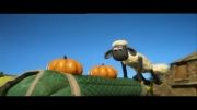 سریال shaun the sheep-ChampionSheeps | قسمت 9 | ژیمناستیک