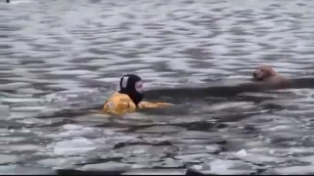 نجات یک سگ از رودخانه یخ زده توسط ماموران آتش نشانی