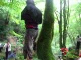 تمرینات مبارزه ای پرتوآ در جنگل