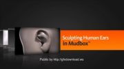 ساخت گوش انسان در نرم افزار -مقدم-1-mudbox