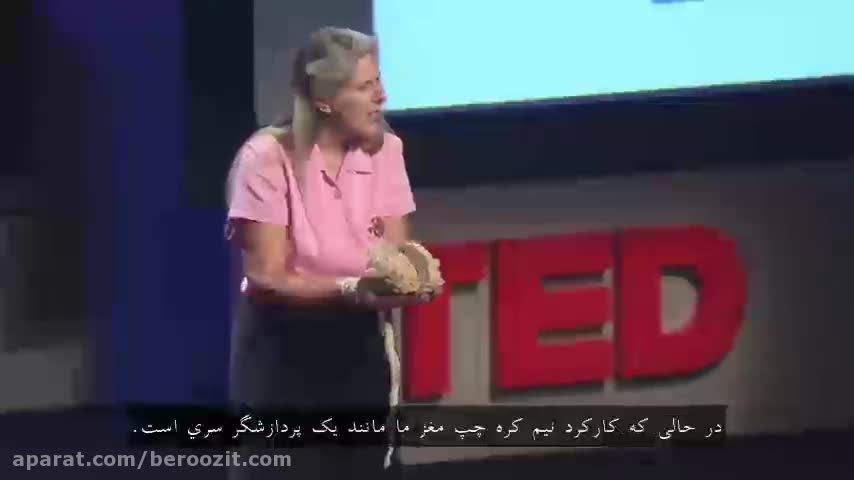 سخنرانی های برتر TED: سکته ی درون