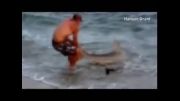 فیلمی جالب از مردی که کوسه صید می کند!