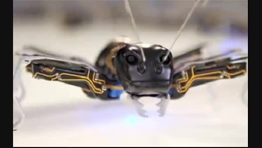 ربات مورچه ها