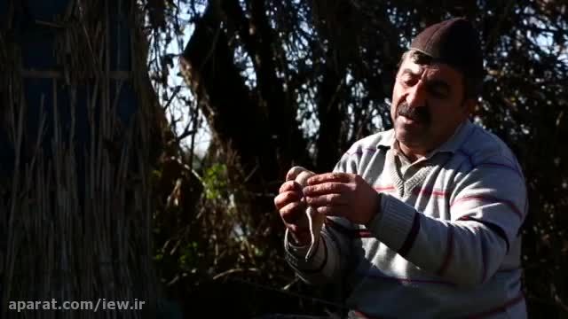 آنونس «مستند آزادی» با موضوع صید پرندگان در فریدونکنار