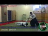 IRAN AIKIDO | کلیپ دفاع شخصی