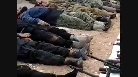 آری کوبانی،گورستان داعش است   +18
