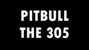 pitbull-The 305